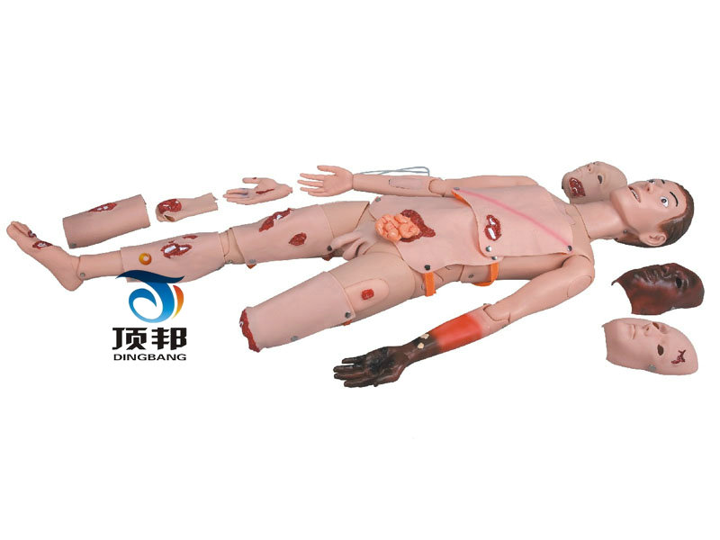 高级创伤训练模型 